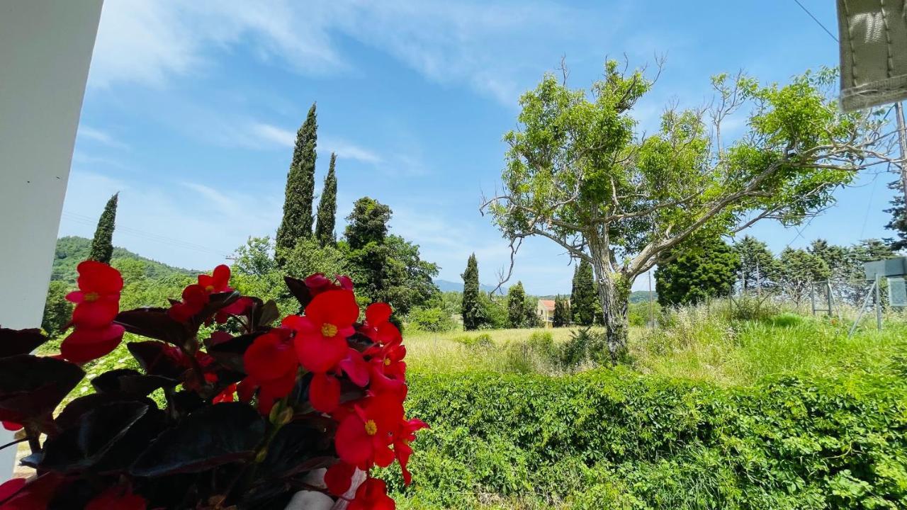 Villa Deza Έρμονες Εξωτερικό φωτογραφία